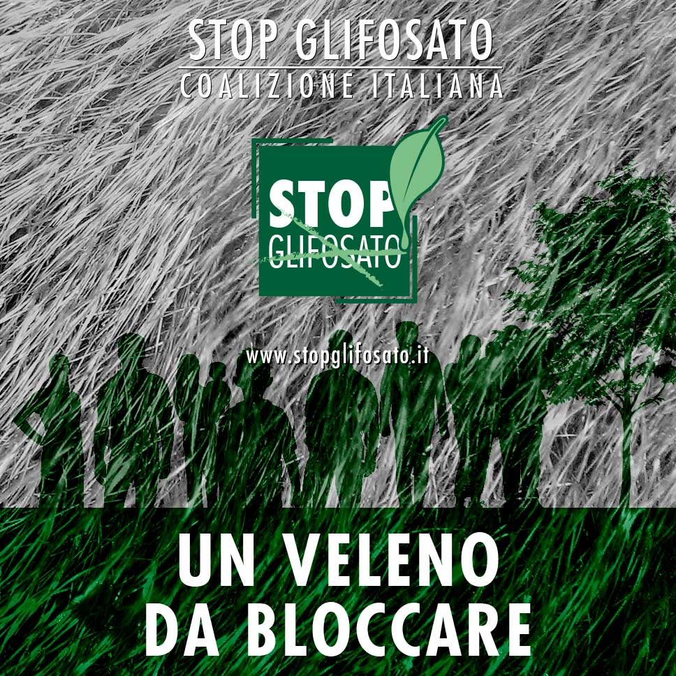 beegeneration_'s tweet photo. Un veleno da bloccare: #StopGlifosato.
Società civile: facciamoci sentire!
@AIABfederale @WWFitalia @Fondoambiente https://t.co/zuA2hpHfHd
