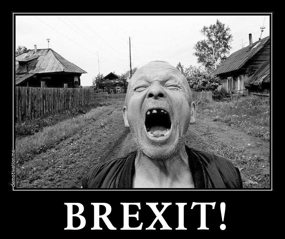 Более 2,5 млн британцев требуют повторного референдума по Brexit - Цензор.НЕТ 3219