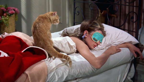 GlamourSpain's tweet photo. ¿Quieres quedarte dormida en solo 30''? Descubre cómo entrenar a tu cerebro para lograrlo https://t.co/yDyXSGwEgE https://t.co/TXwGyf2sMP