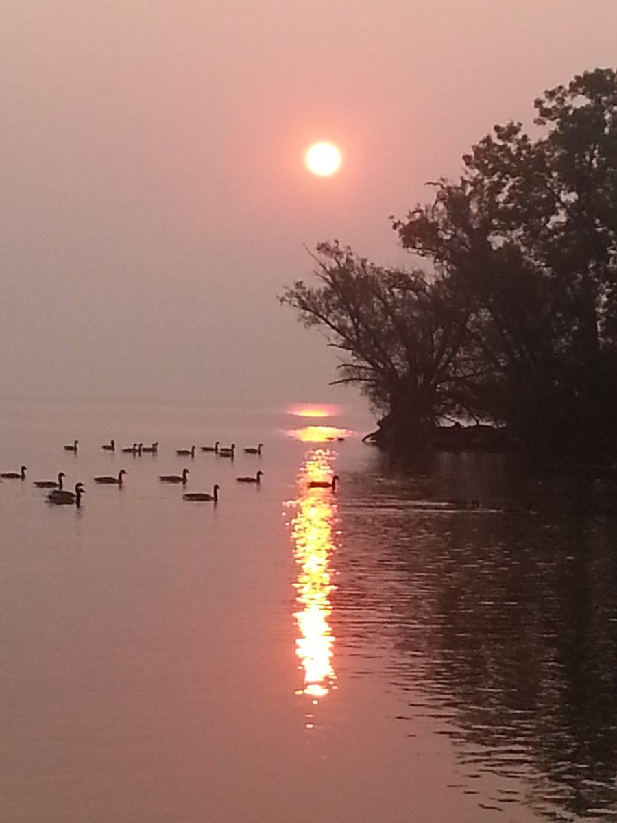 RareCat's tweet photo. Anything worth doing is worth overdoing. #GoodEnoughNeverIs #HABD https://t.co/KT1hdNBURB