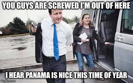 squirrelarmy's tweet image. 