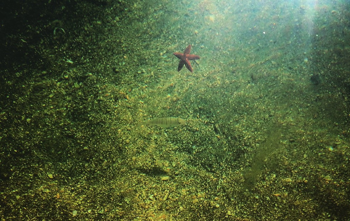 De Britten gaan Europa nog missen. Niet om wat het is, maar om wat het niet is -@RobWijnberg decorrespondent.nl/4791/De-Britte…