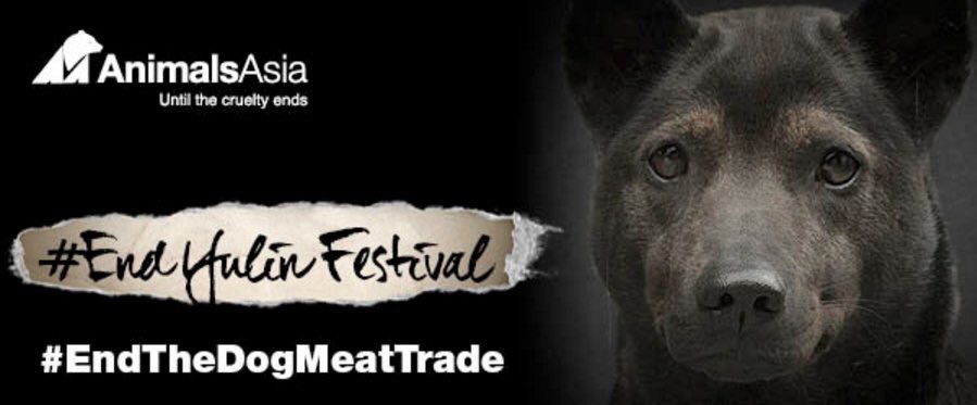 GoAndJoy tweet media