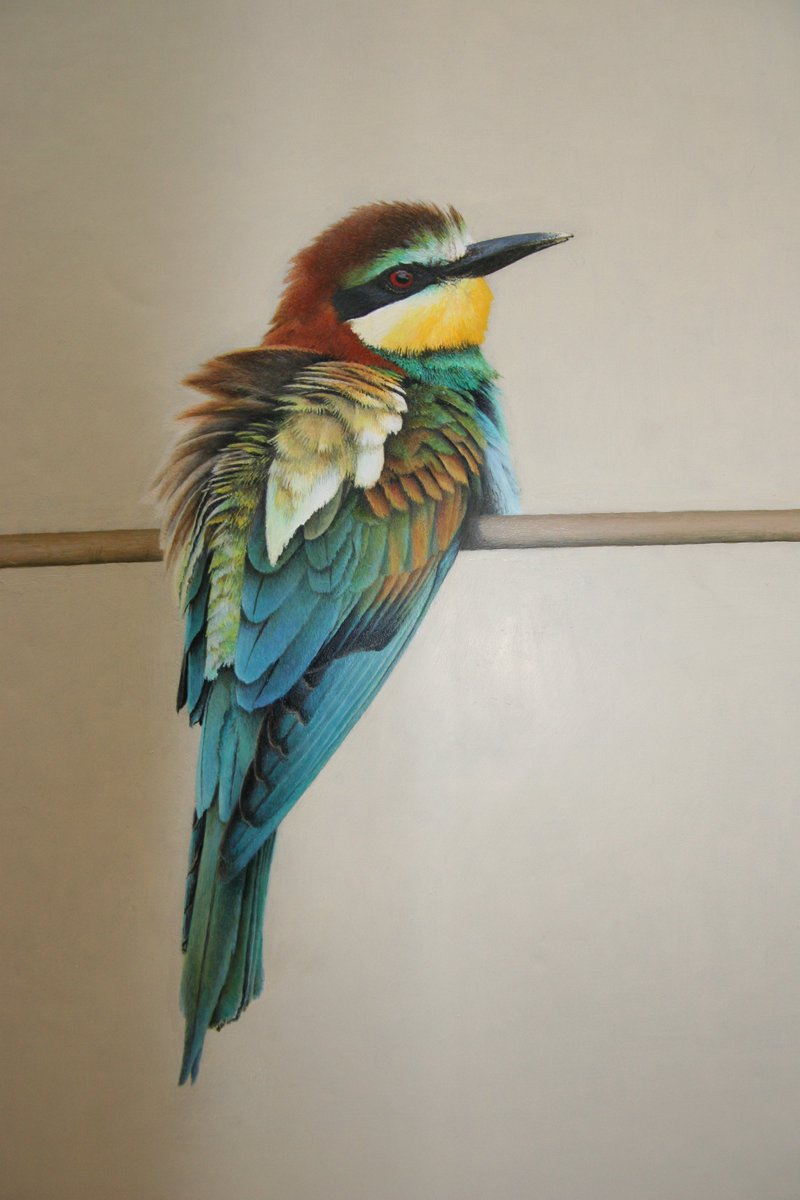 ExmoorDriftwood's tweet photo. The Beeater • shared with https://t.co/wD4npA1Tk5 #Bird #Beeater #colours close https://t.co/6KgD5UMXAx