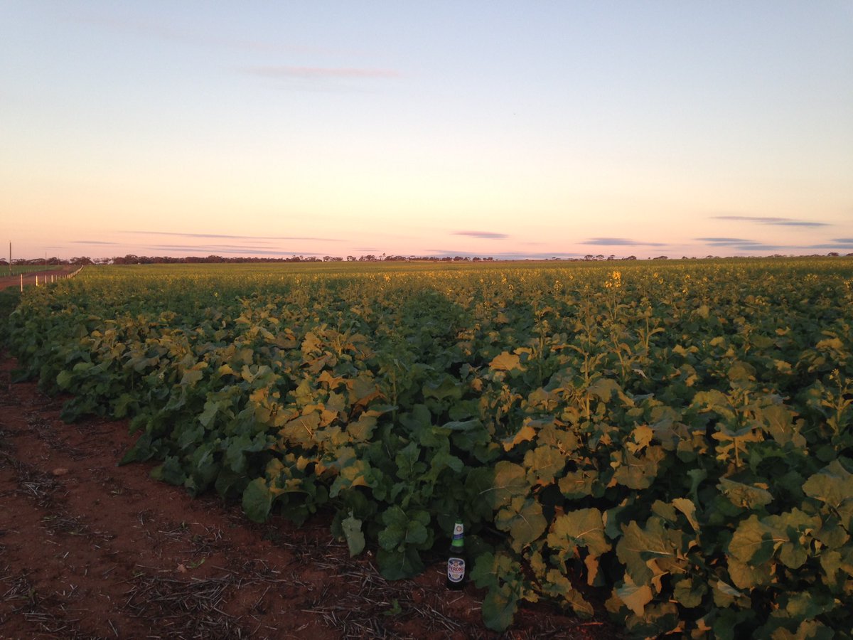 Bank managers hour...what an awesome start to the season!