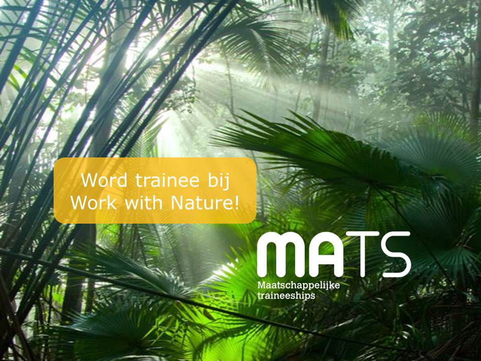 Regenwoud beschermen, kinderen activeren en ervaring op doen als projectleider?! Solliciteer nu! kiesmats.nl
