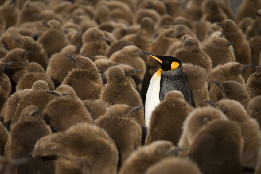 gradbridge's tweet image. Don't be generic in your cover letter! Here are some tips to help you stand out - ow.ly/xdYC301yQPS