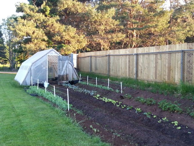 Water was done befor sunrise. Hours: from 11-7 Mon-Sat,Sun closed.Address 364 Uni Ave "Water n Wine" parking lot.