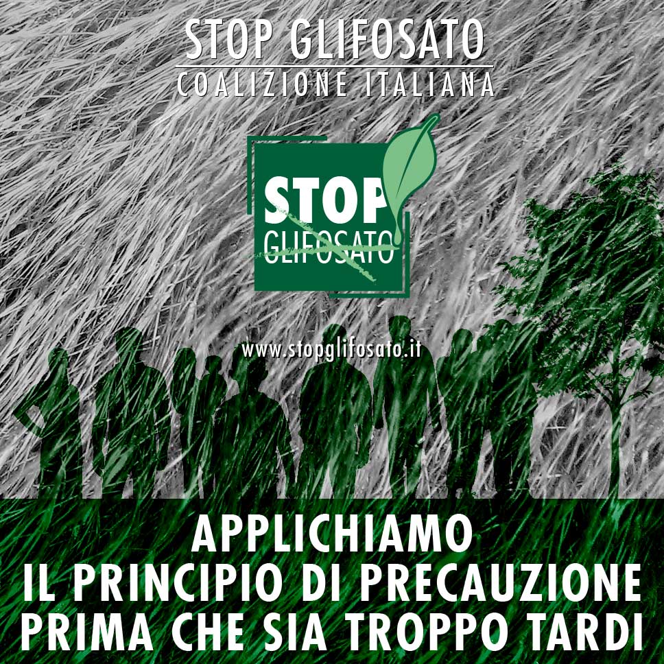 beegeneration_'s tweet photo. Oggi il Comitato PAFF decide sul futuro dell'#Europa.
#StopGlifosato #NoPesticides #noPesticidi #agricolturabio https://t.co/uPM8poVeA8