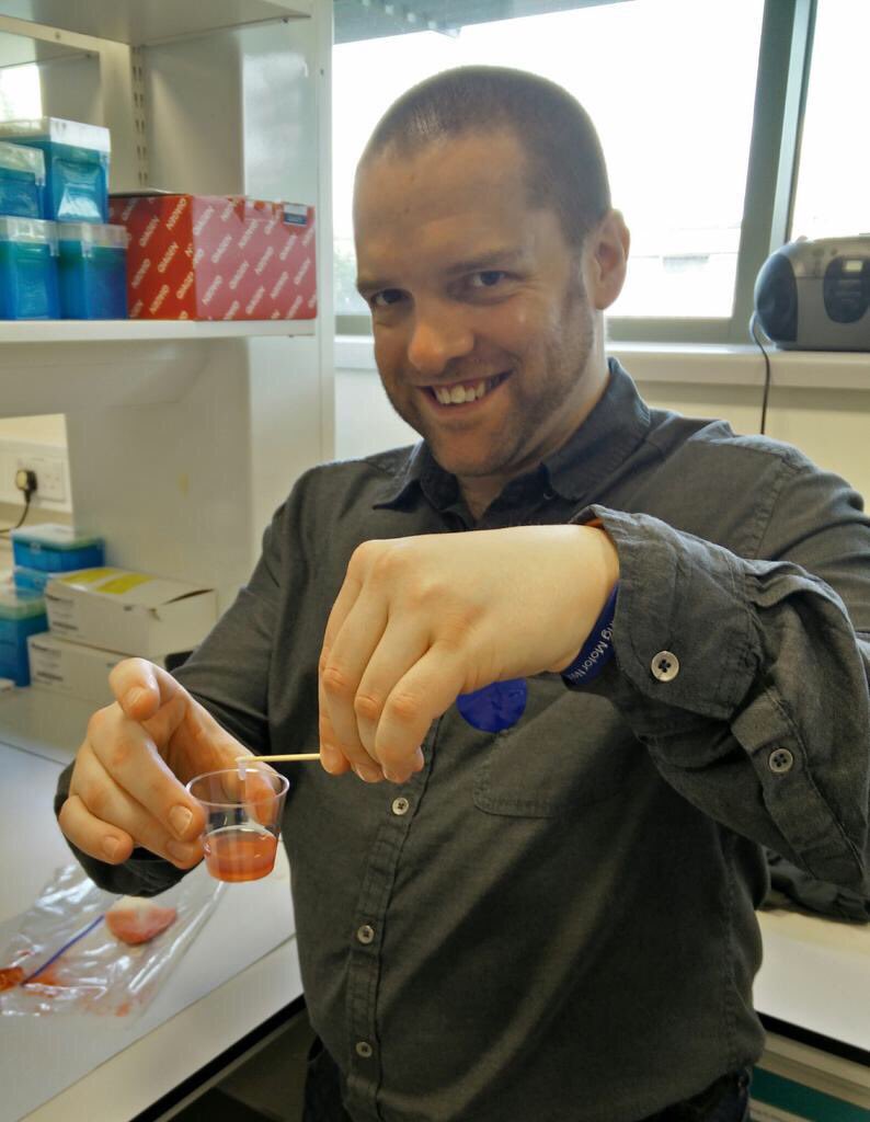 GregBroadhurst's tweet photo. Amusing this was retweeted by @J9Kirby :) She taught me to extract strawberry DNA last year! https://t.co/07s0iGQkTc https://t.co/RO1XZcANq1
