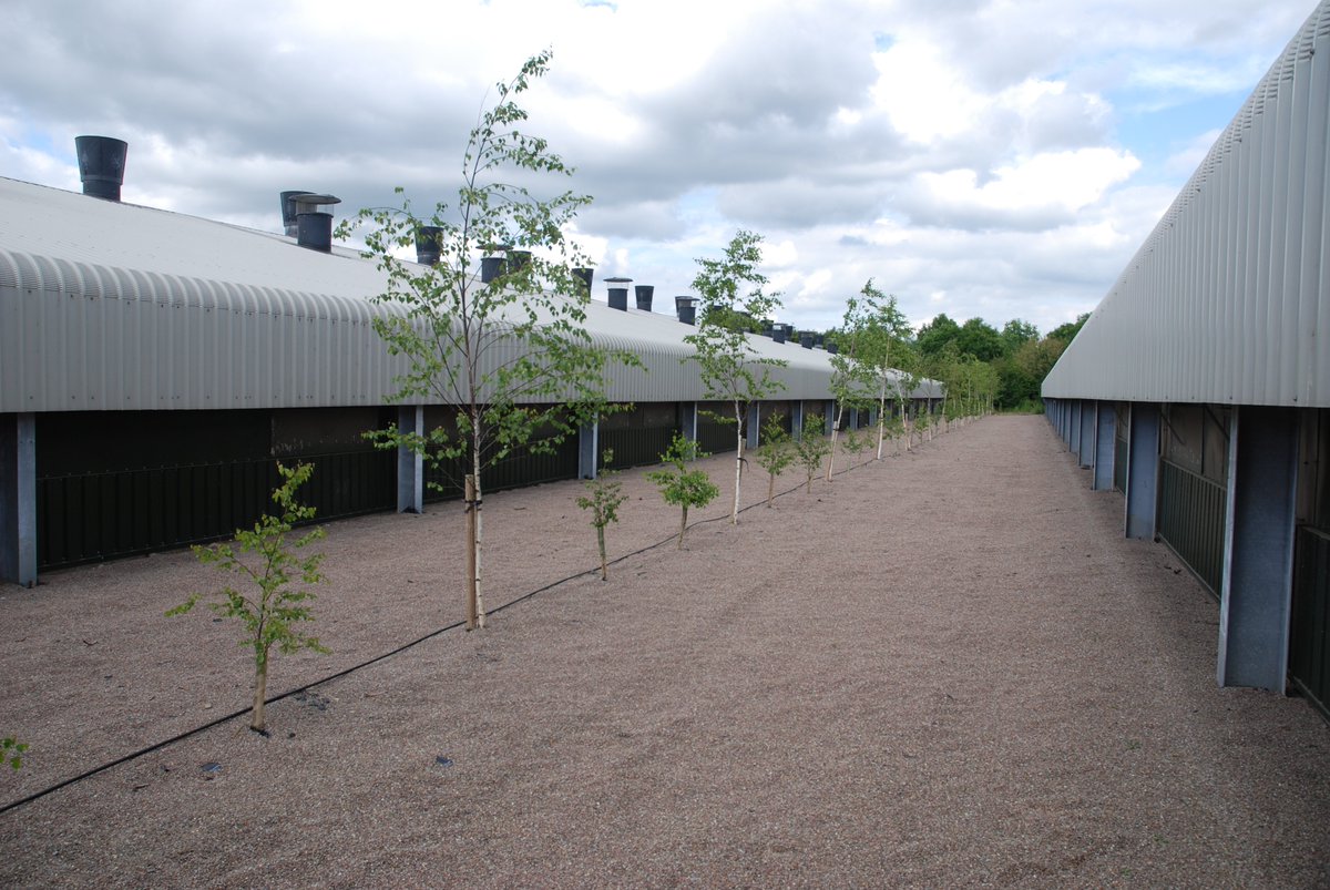 Morspan's tweet photo. Upper House Farm, Hereford looking as tidy as ever.
#Connops #Securecom #DACSventilation #StaurtPerkins #Poultry https://t.co/b18AmdBRst
