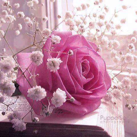 SLamjarred1's tweet photo. @nour200120 كل عام وانتي بألف خير أغلى واحلى رنيم 😙😙😙😙💜🎀🎀🎉عقبال ملييييون سنة حبيبتي ❤❤❤🎀🎀🎈🎈Love you❤ https://t.co/x2aI8A9xVz
