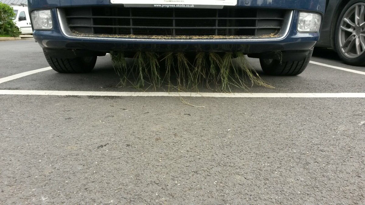 DaltonSeeds's tweet photo. Downside to crop inspecting! #seedcrops #qualityfirst #needa4x4 https://t.co/Dot6JY54TA