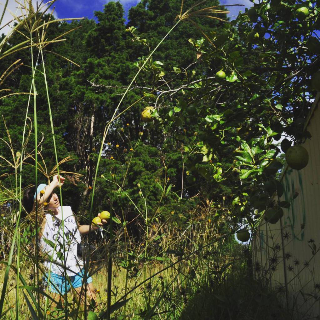 Nowripthis's tweet image. When Life Gives You Lemons nowripthis.wordpress.com/2016/06/24/whe…