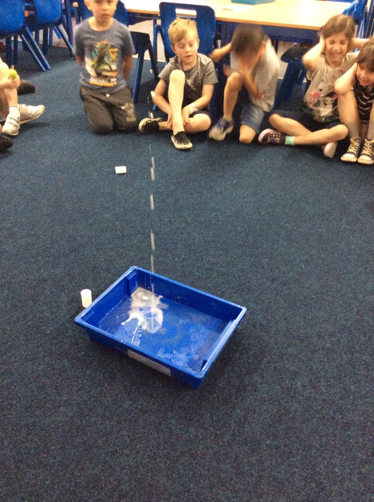 St Peter's Primary tweet media