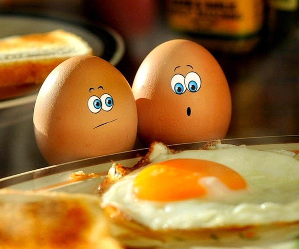Patricmizer's tweet photo. If they only knew!! #eggfeast https://t.co/u32uzRKD7f