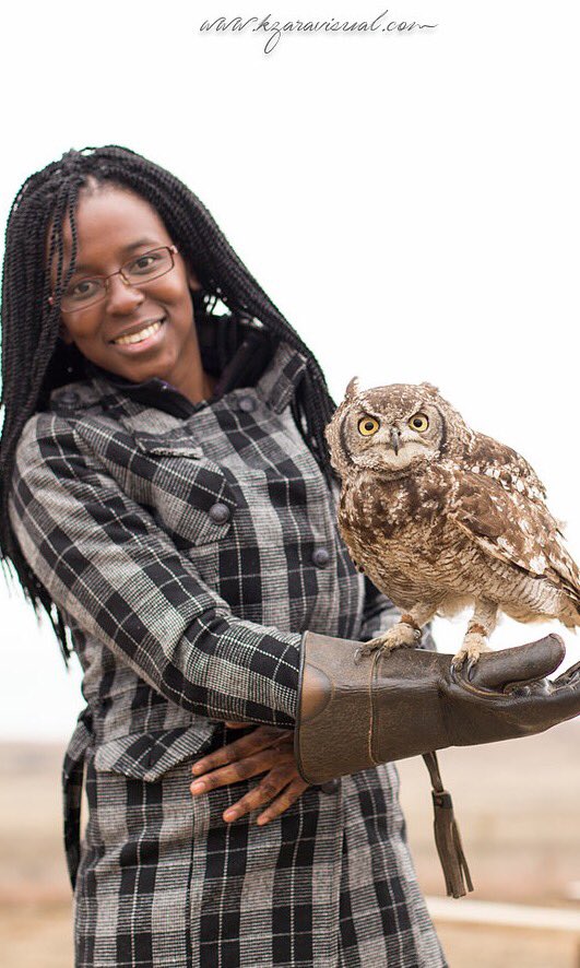 TravelMassivJHB's tweet photo. RT @Kzaravisualconc Amazing experience with owls @ The Birds of Prey centre, Dullstroom on our #Tmroadtrip https://t.co/7bXj04JlEK