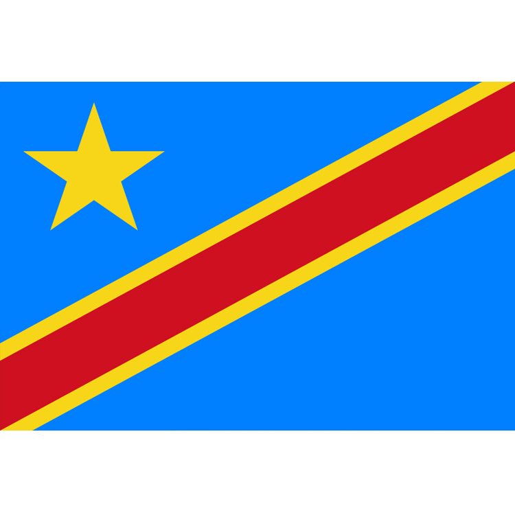 UNDP_CF's tweet photo. #CAFI proud to contribute to #DRC capacity to deliver on its #ERprogram #FCPF #CarbonFund https://t.co/R6DaHq9dWS https://t.co/eYYHvoOhQ6