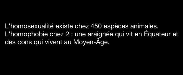 poazzon's tweet photo. @Palatin_ @Jojo29_BZH @Noesis14 @Evyange https://t.co/ipq1ney6tO