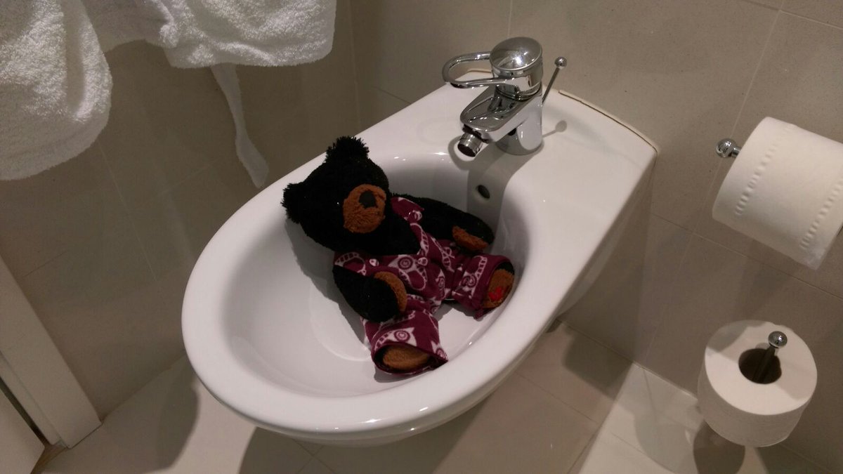 teddymartinbear's tweet photo. Bert got his own bath! Perfect size for him! #Jealous #BertDoesManchester https://t.co/dsJ8Bnhk9p