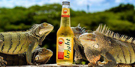 Amstel Bright 6-pack winnen? Check deze actie! ow.ly/IHfC301AXCI #Curaçao #Aruba #Bonaire #bier