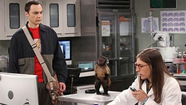 ¿Y qué pasa con los monos de Gibraltar? ¿Nadie piensa en los monos? #Brexit