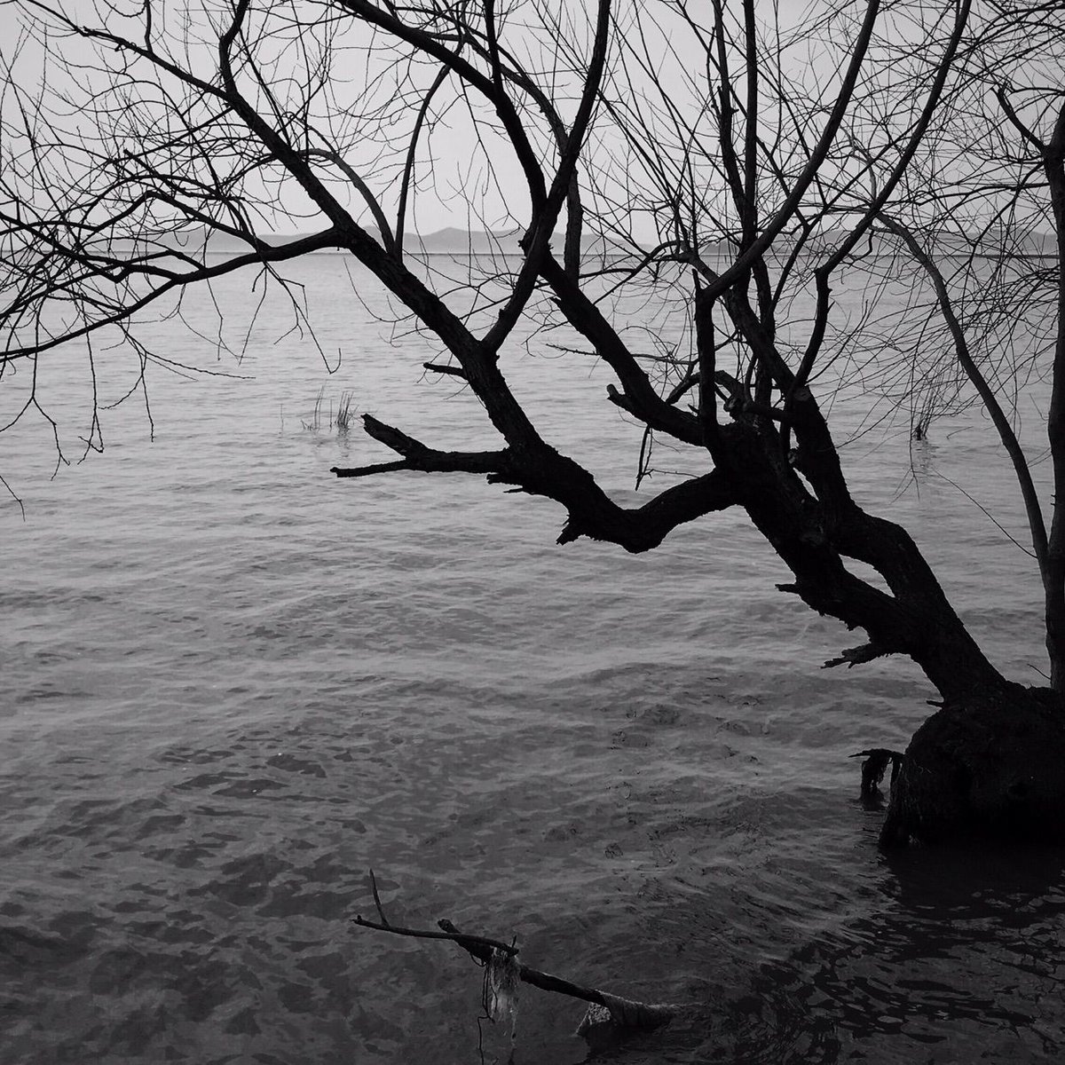 Vissify Co. tweet media