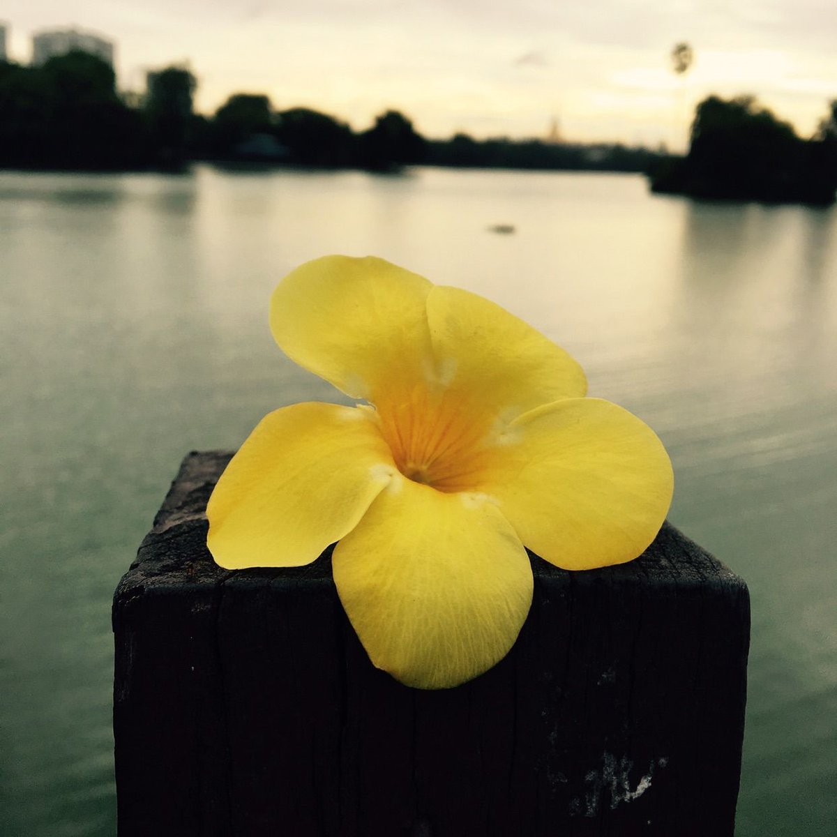 Vissify Co. tweet media