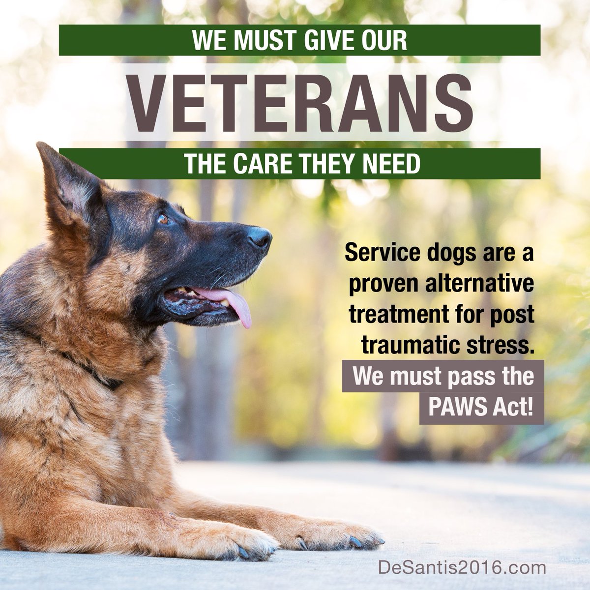 RonDeSantis's tweet image. We must pass the #PAWSAct to provide veterans suffering with post traumatic stress an alternative treatment.