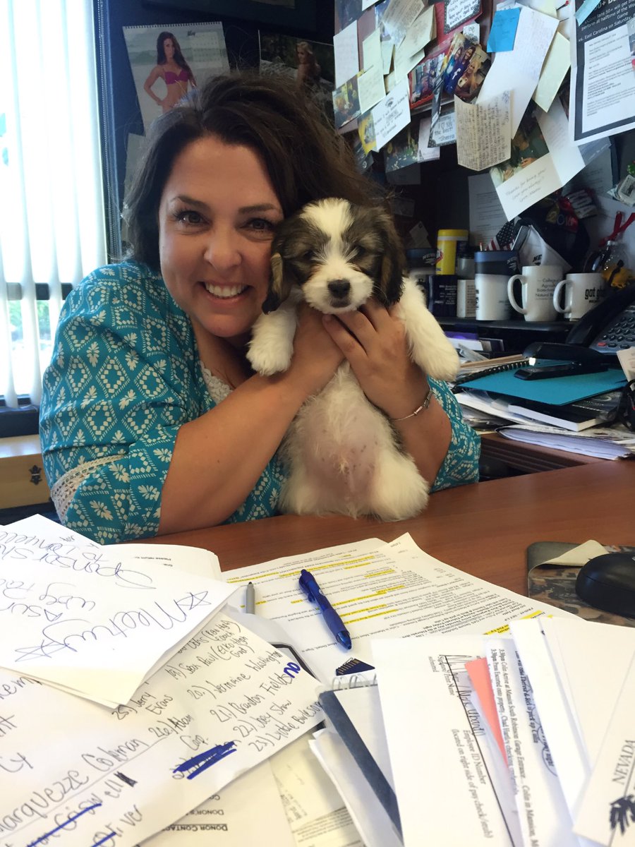 kimanastassatos's tweet photo. #TakeYourDogToWorkDay #mowgli #nevadawolfpack https://t.co/gtA0JaenhY