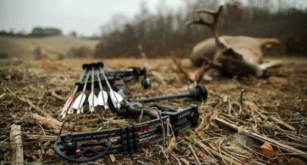 deerassociation's tweet photo. How to Become a Better Archer This Summer to Raise Your Deer Hunting Confidence https://t.co/ygZc3fW33I https://t.co/ZRj5jSjj7R
