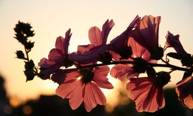 This is a great summary of an important law of life: buff.ly/28O61Dt