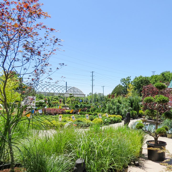 Another beautiful day out there! We're taking in all the sunshine. Visit us tonight until 6pm!