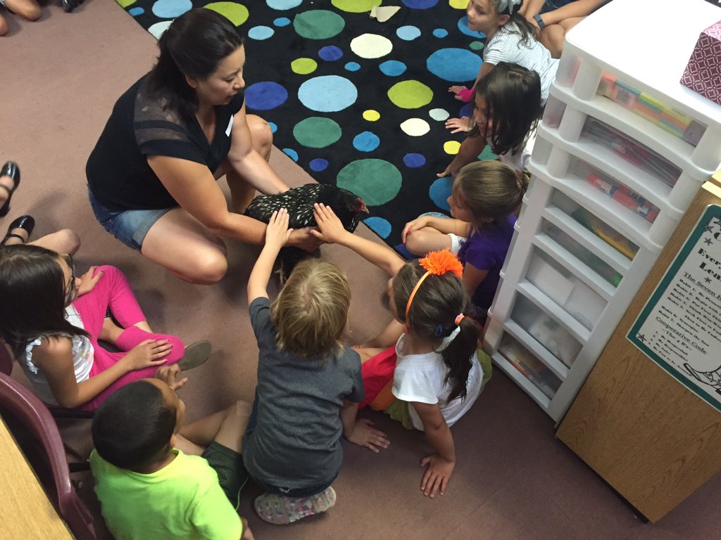 Stacy Brisben tweet media