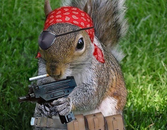 savecyril tweet picture