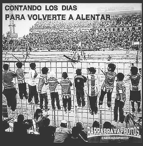 stiffsantafe's tweet image. Del rojo soy