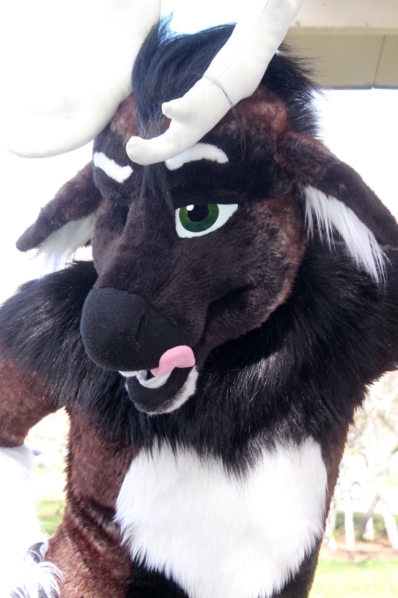 KnowMeByHart's tweet photo. It's hot outside, but things will feel much hotter if you see me at @anthrocon ;)
#FursuitFriday #FursuitsFriday https://t.co/zkD54caKgP