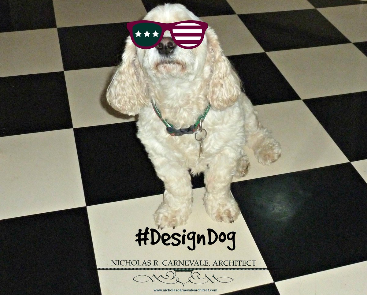 ArchitectNickC's tweet photo. #Rocky doesn't always dig #blackandwhite #Designlines when he does its #FridayFalir #TakeYourDogToWorkDay #DesignDog https://t.co/T0I04veqEM