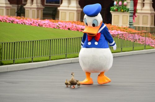 ディズニー迷子シールどこでもらえる 場所や何歳までもらえるか調査 曇りときどきハレ通信