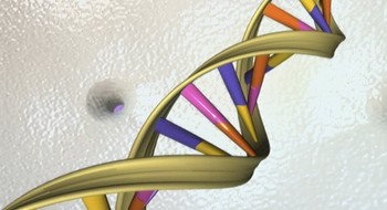 The next generation in data storage? Your DNA wef.ch/1S3vEnn