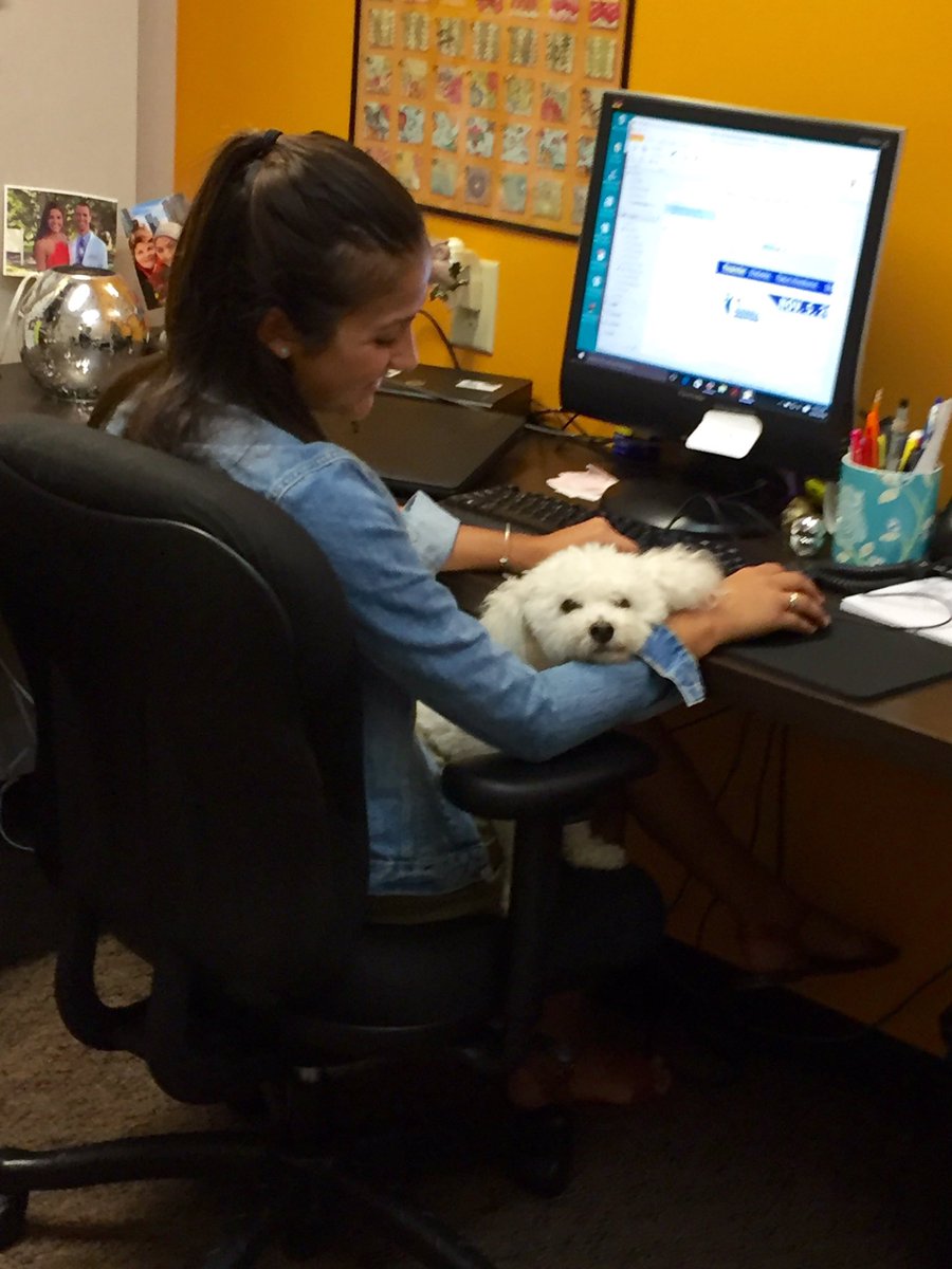 .@alimaria8's Charlie is already hard at work this morning at @Borshoff! #TYDTWD #Shofflife