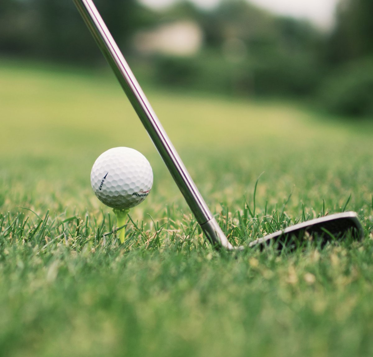 tee_project_org's tweet photo. Does your Friday looks like this? PhotoCred:@taylersteven #teeproject #friday #tgif #golf #golftees #golfcourse https://t.co/m1fCqopH2X
