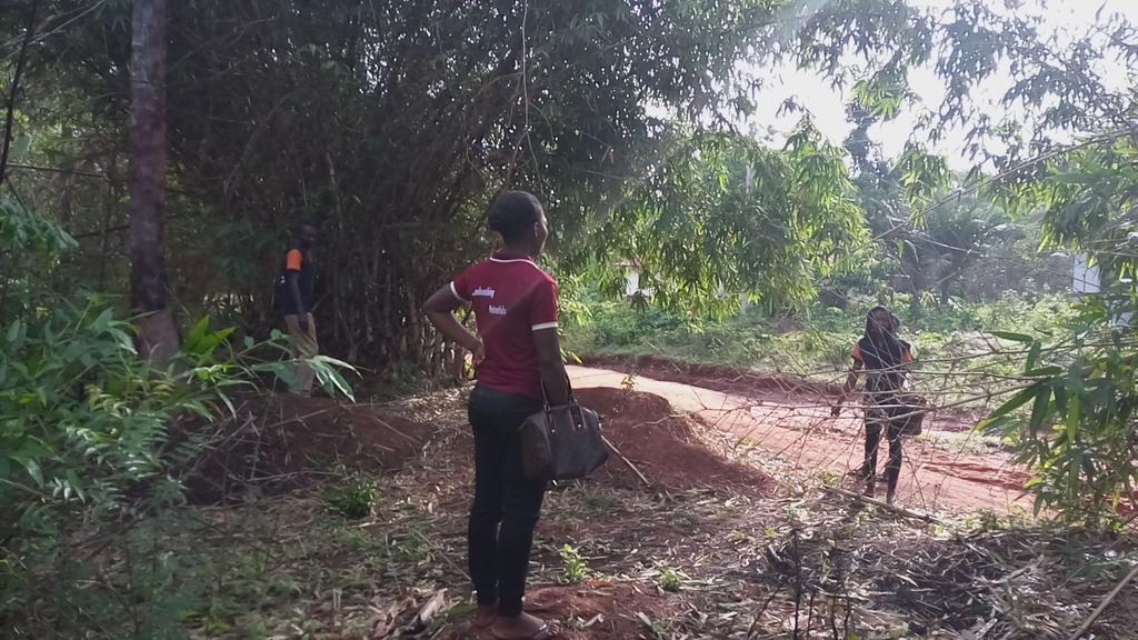 EnactusKsuAy's tweet photo. Other people see no good in Bamboo Farming but we see #Possibilities https://t.co/FHqIOYHCmy