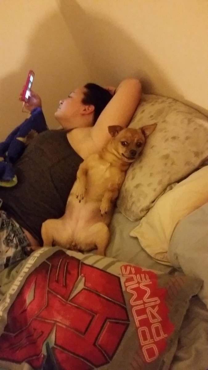 McCoidAlex's tweet photo. Loki and Katie are ready for the weekend.
#lokithedog #chillin #VictoriaBC #TGIF https://t.co/rljdHsckta