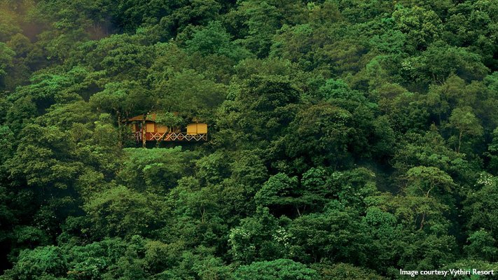 TheLabelbyLP's tweet photo. Planning a #trip anytime soon? Try these #treehouse #resorts. https://t.co/Xf32O1rafw https://t.co/9FJGyvEzdz