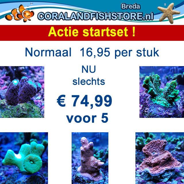 CFSbreda tweet picture