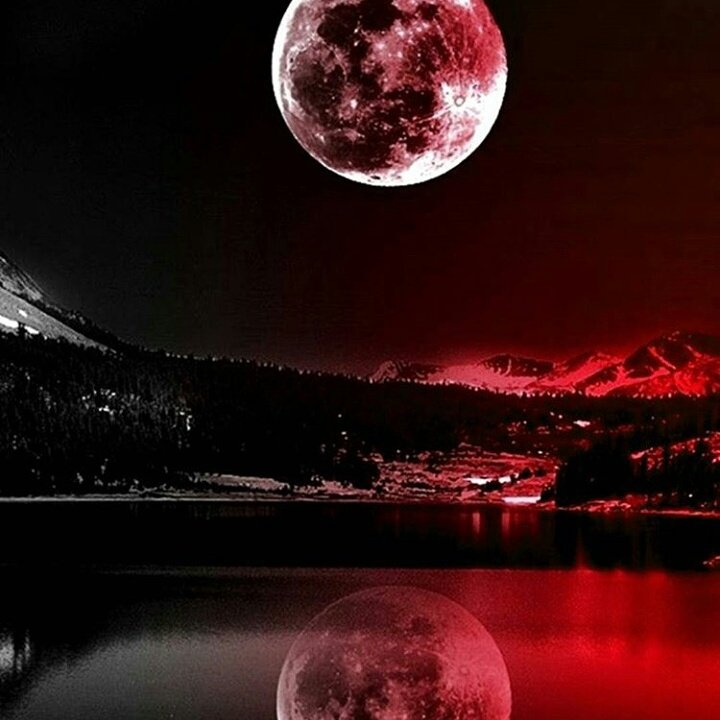 SalbAhhh's tweet photo. مساء الخيرااااااااااات https://t.co/MKsBFkgj16
