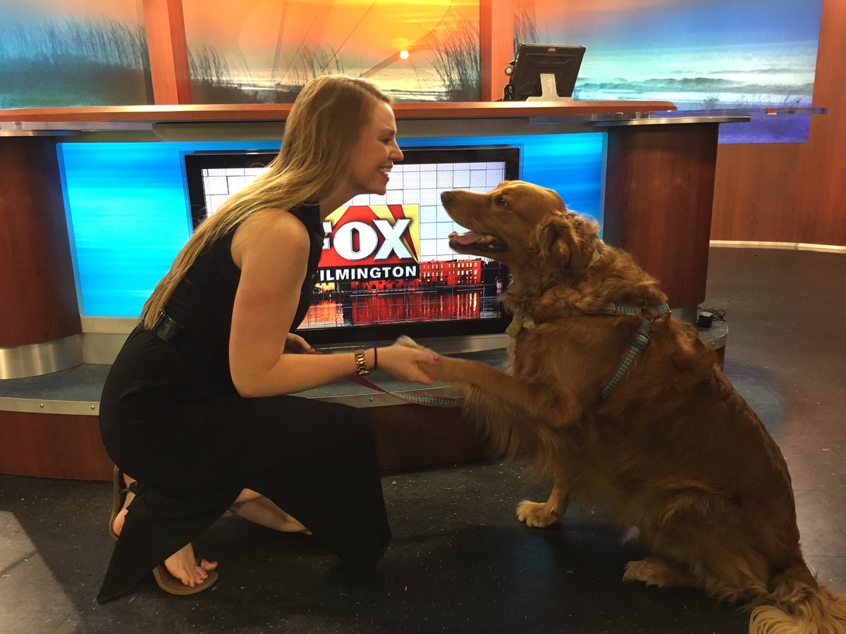 staceypWECT's tweet photo. #bringyourdogtoworkday BEST DAY EVER! https://t.co/NODs8fz7Dv