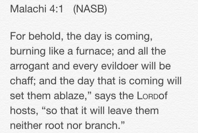 365Scripture's tweet image. 