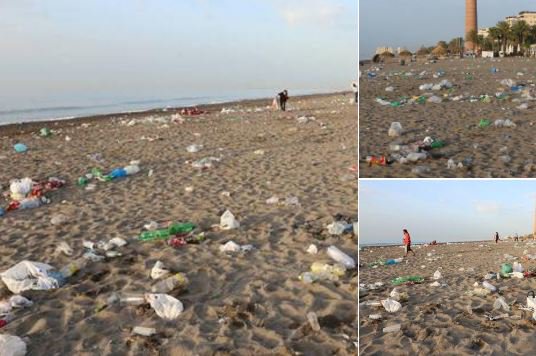 Ligoteos_UMA's tweet photo. Si perros estan prohibidos en la playa, ¿por qué los cerdos no?  (Fotos de esta noche) https://t.co/oe72NdVcds